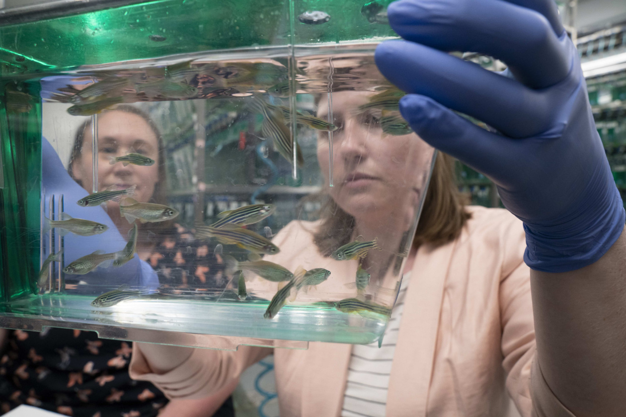 researchers working with fish